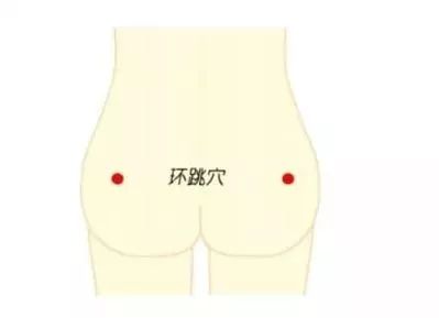 环跳穴的作用