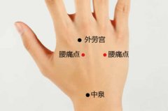 <b>腰痛点的准确穴位图及功效作用</b>