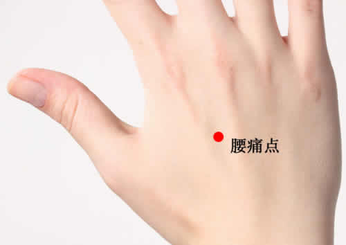 腰痛点的功效作用