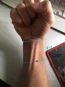 <b>二白穴的准确位置及功效作用</b>