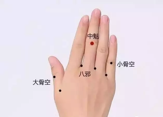 <b>中魁穴在哪准确位置及功效作用</b>