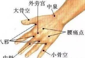 大骨空的作用