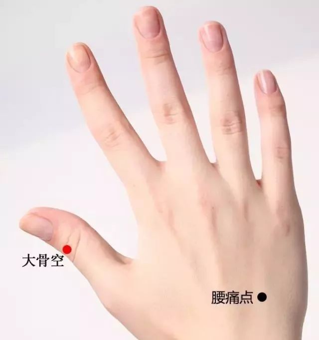 腰痛点穴位准确穴位图及作用
