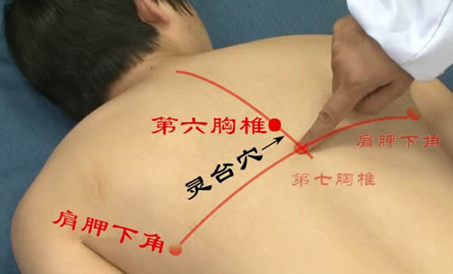 灵台穴的准确位置图及作用