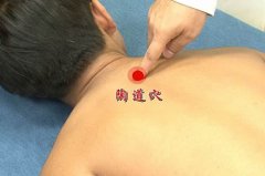 陶道穴的准确位置图及功效和作用