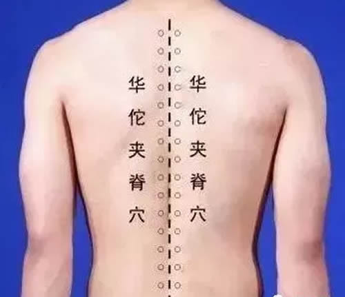 夹脊穴的作用