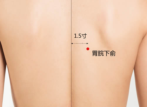 胃脘下俞的作用
