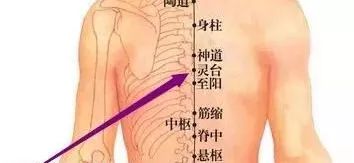 灵台穴的准确位置图及作用