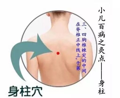 身柱穴的准确位置图