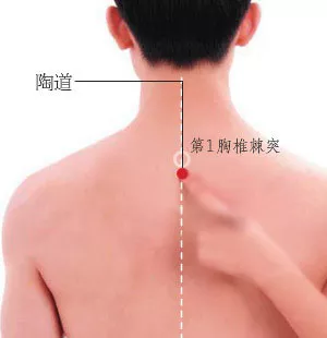 陶道穴的功效和作用