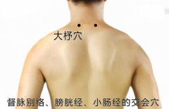 大杼穴的位置及功效作用