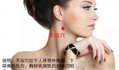<b>天容穴准确位置图和作用</b>
