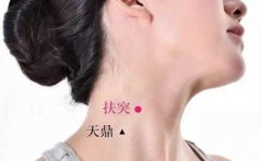 <b>扶突穴的准确位置图视频和作用</b>