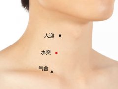 <b>水突穴的准确位置图及作用功效</b>