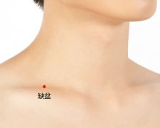 缺盆穴的穴位图及功效作用