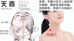 <b>天鼎穴的准确位置图及功效作用</b>