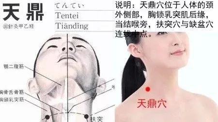 天鼎穴的准确位置图及功效作用