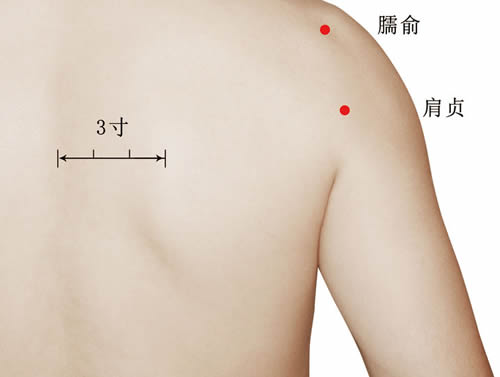 <b>臑俞穴位的准确穴位图及作用</b>