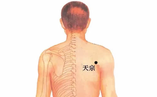 天宗穴的准确位置图及功效作用