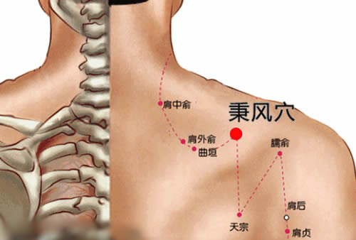 秉风穴的准确位置图