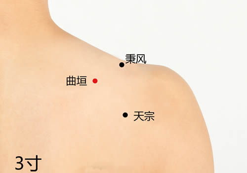 曲垣穴的作用