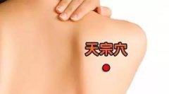 <b>天宗穴的准确位置图及功效作用</b>