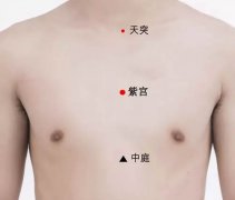 <b>紫宫穴的准确穴位图及作用</b>