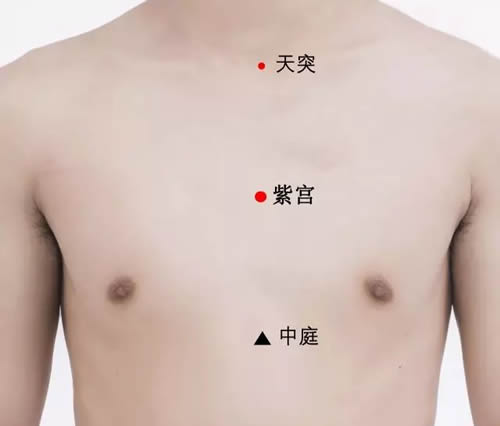 紫宫穴的准确穴位图及作用