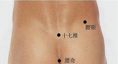 十七椎穴的准确位置图及功效作用