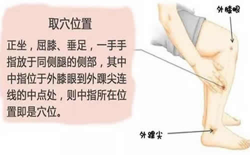 外踝尖穴的准确位置图及功效