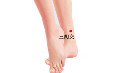 三阴交穴