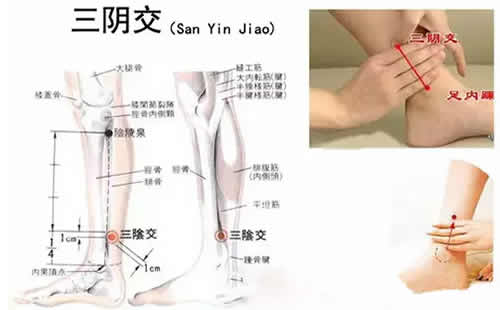 三阴交穴的准确位置图