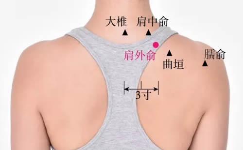 <b>肩外俞穴的准确位置图及功效作用</b>