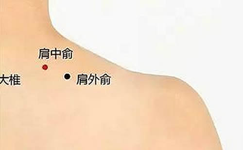 肩外俞穴位的作用