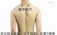 <b>肩中俞的准确位置图和作用功效</b>