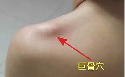 巨骨穴的准确位置图及功效作用