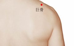 <b>巨骨穴的准确位置图及功效作用</b>