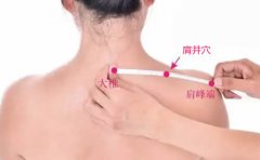 <b>肩井穴的准确位置图和功效与作用</b>