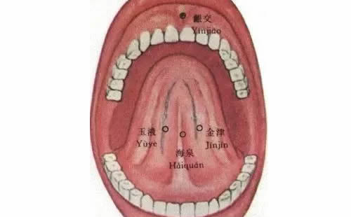 金津穴准确穴位图和作用