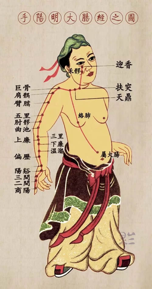 手阳明大肠经