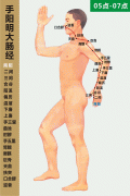 手阳明大肠经