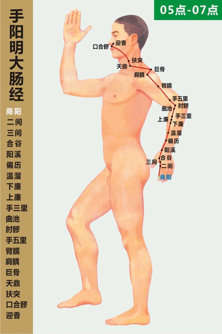 手阳明大肠经循行图