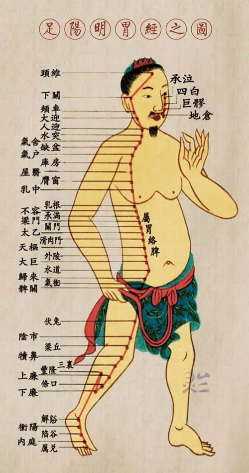 足阳明胃经歌诀