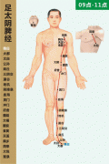 足太阴脾经