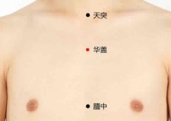 <b>华盖穴位准确穴位图及作用</b>