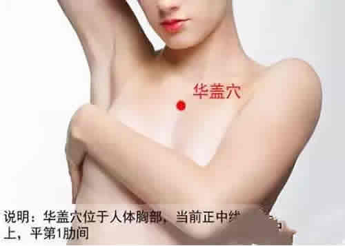 华盖穴位准确穴位图