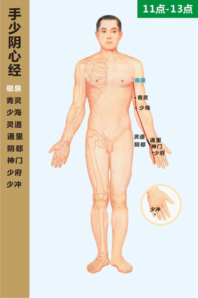 手少阴心经穴位图