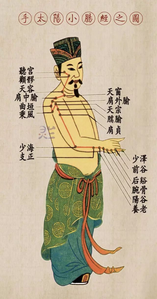 手太阳小肠经循行