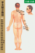 手太阳小肠经