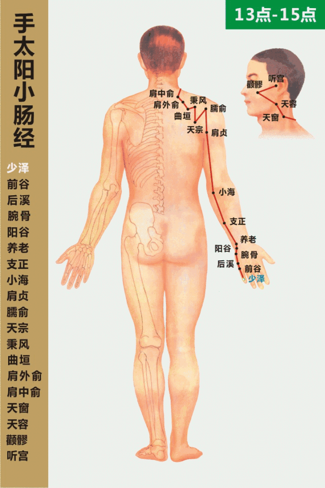 手太阳小肠经穴位图